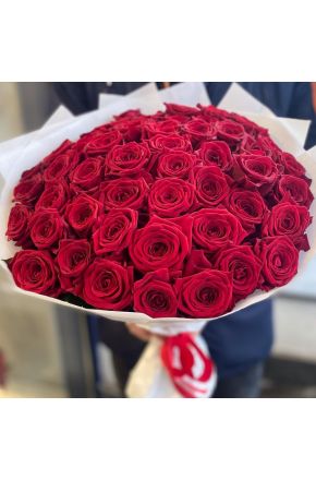 25 Красных роз 50 см.(Голландия)