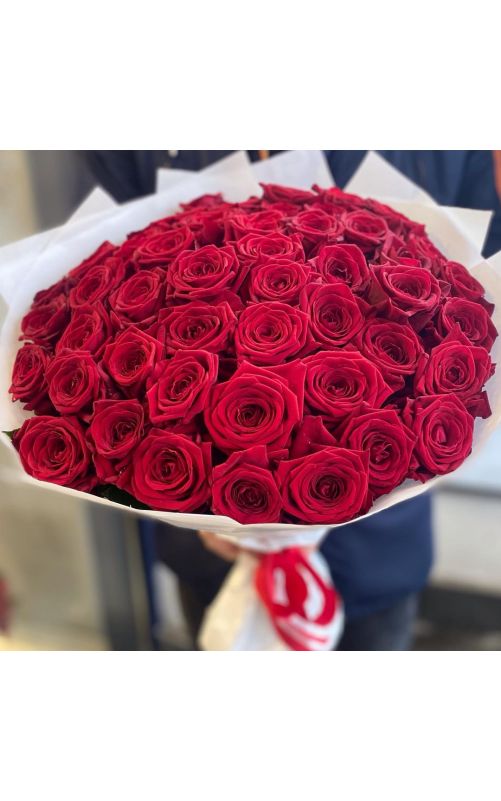 51 Красная  роза 50 см. (Голландия)