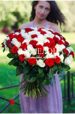 101 Красно-белая роза 50 см.