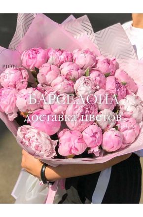 Букет из 25 розовых пионов Сара Бернар