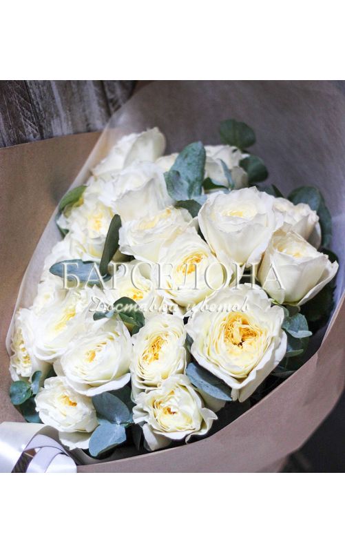 11 пионовидных пионовидных роз Дэвида Остина Пейшенс