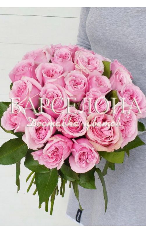 Букет из 23 пионовидных роз Дэвид Остин Миранда