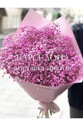Букет из 11 розовых гипсофил (Голландия)