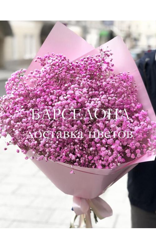 Букет из 11 розовых гипсофил (Эквадор)