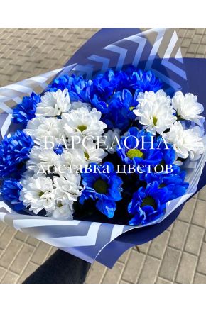 Букет из 7 синих и белых хризантемы