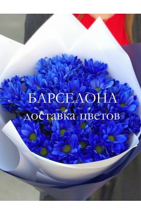 Букет из 5 синих хризантем