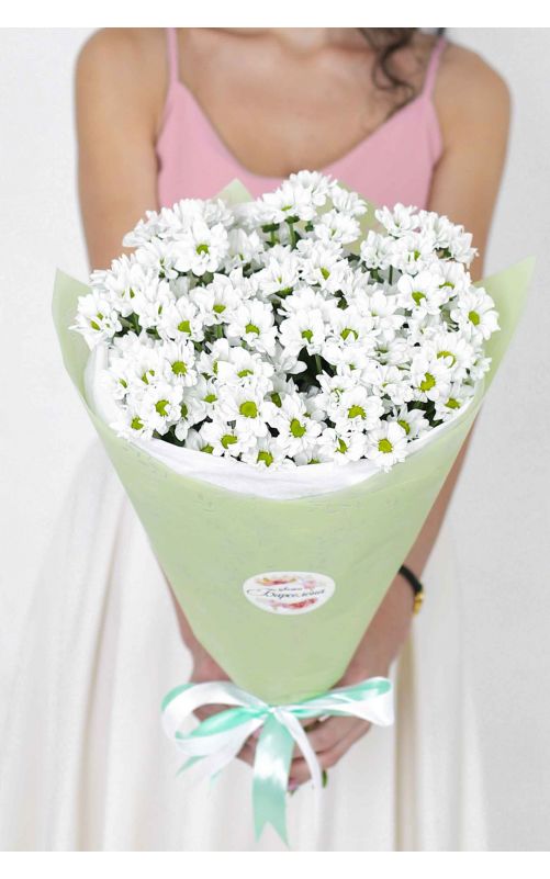 Ромашковая хризантема Сантини 