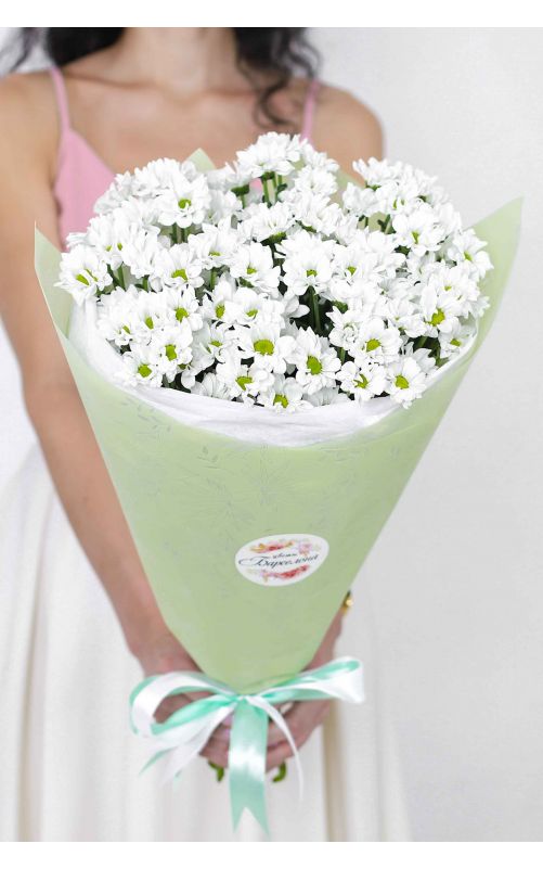 Ромашковая хризантема Сантини 