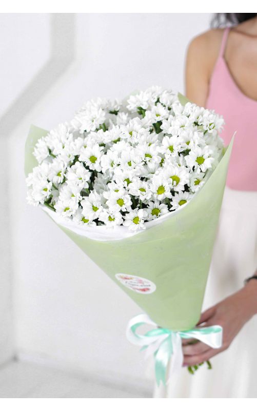 Ромашковая хризантема Сантини 