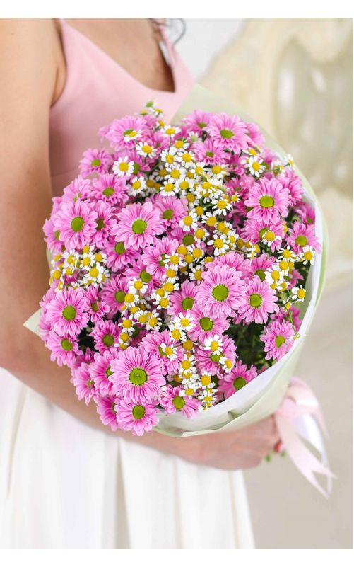 Хризантемы ромашки 11 штук 