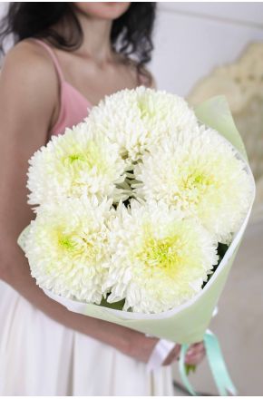 Букет из 5 белых одноголовых хризантем Magnum