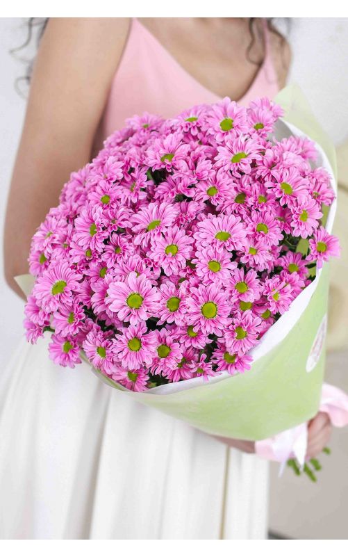 Хризантема кустовая Сантини