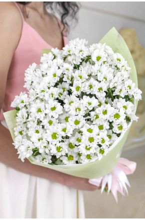 Сантини хризантема «Только ты»