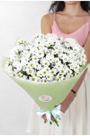Монобукет «Нежность» из 25 хризантем ромашек 