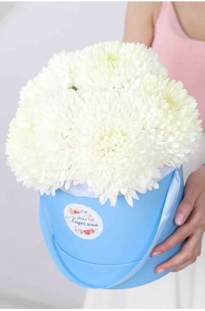 5 белых одноголовых хризантем Magnum в голубой коробке