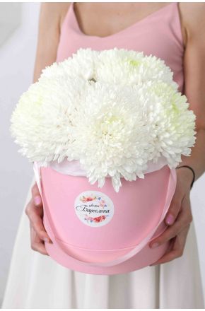 5 белых одноголовых хризантем Magnum в розовой коробке