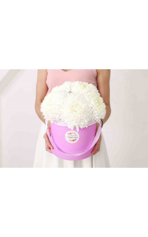 Хризантема Цвет коробки-фиолетовый