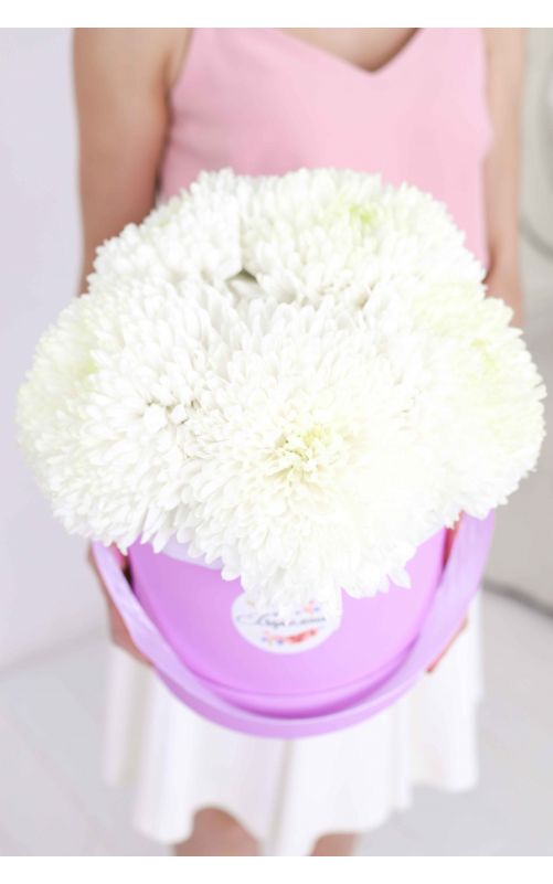 Хризантема Цвет коробки-фиолетовый