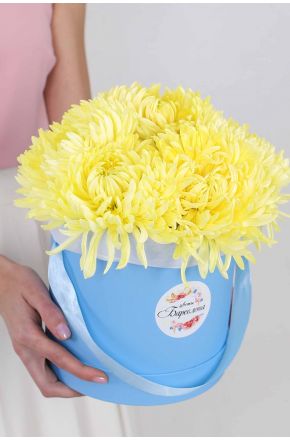 Букет из желтых одноголовых хризантем в голубой коробке