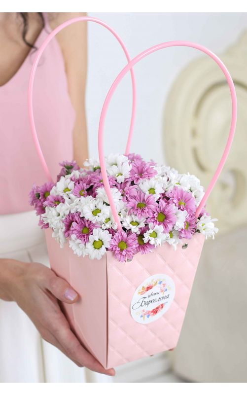 Кустовая хризантема Сантини "Комплимент"