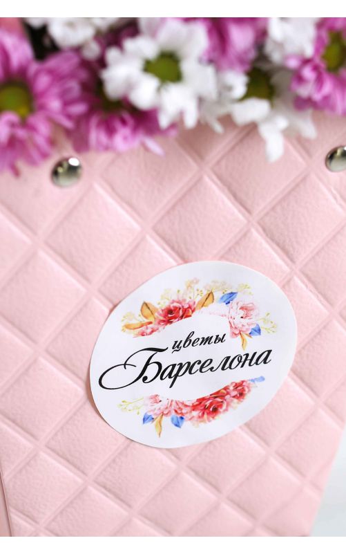 Кустовая хризантема Сантини "Комплимент"