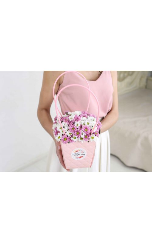 Кустовая хризантема Сантини "Комплимент"