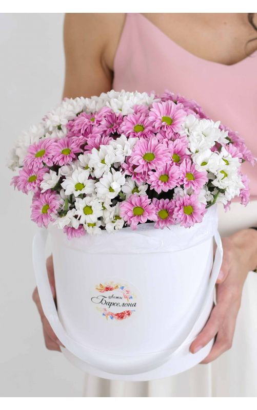 Сантини в белой коробке