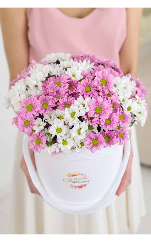 Сантини в белой коробке