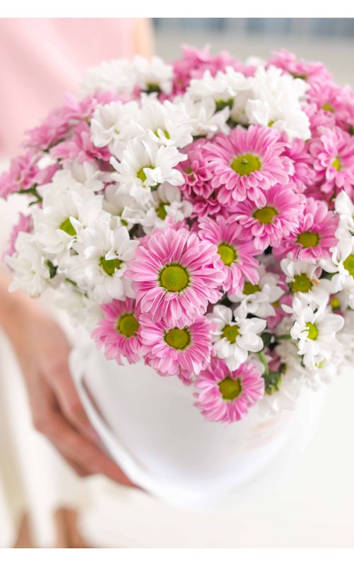 Сантини в белой коробке