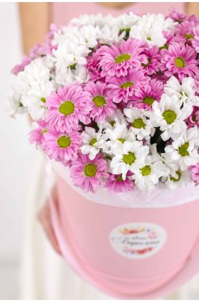 Белые и розовые хризантемы Сантини в розовой коробке