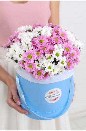 Белые и розовые хризантемы Сантини в голубой коробке