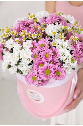 Белые и розовые хризантемы и ромашка в розовой коробке