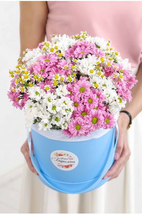 Белые и розовые хризантемы и ромашка в голубой коробке