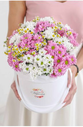 Белые и розовые хризантемы и ромашка в белой коробке