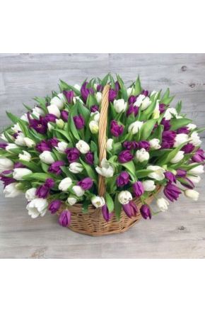 101 белый и фиолетовый тюльпан в корзине