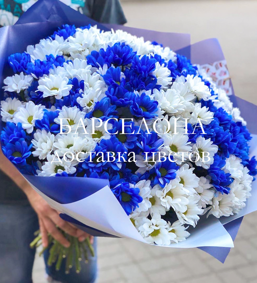 Синие Хризантемы Фото Букет